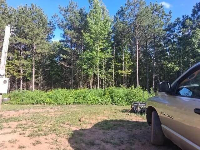 Picture 4