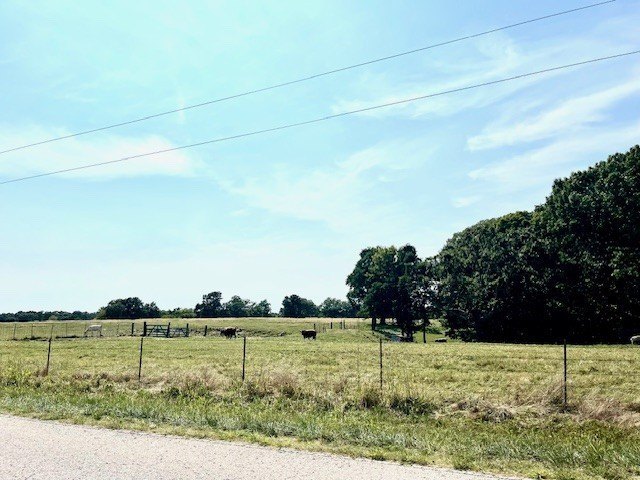 Picture 27
