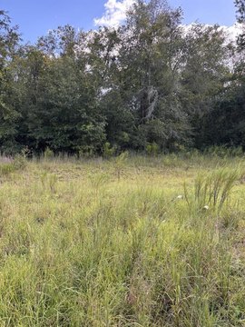 Land, Wellborn, FL