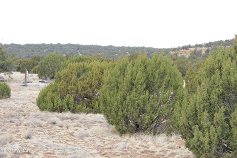 Concho, AZ Land For Sale