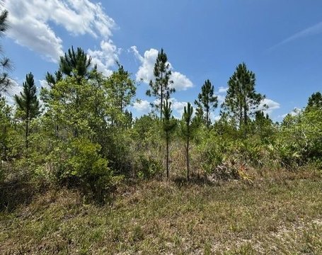 Land, INDIAN LAKE ESTATES, FL