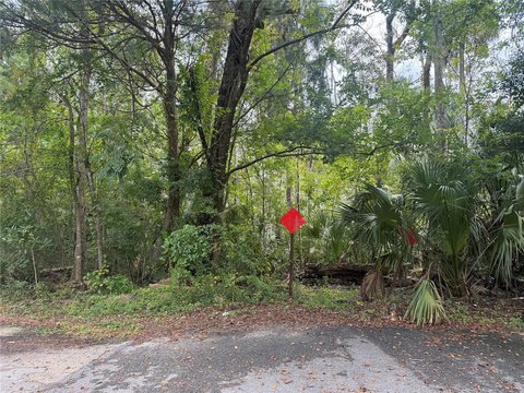 Land, HOMOSASSA, FL