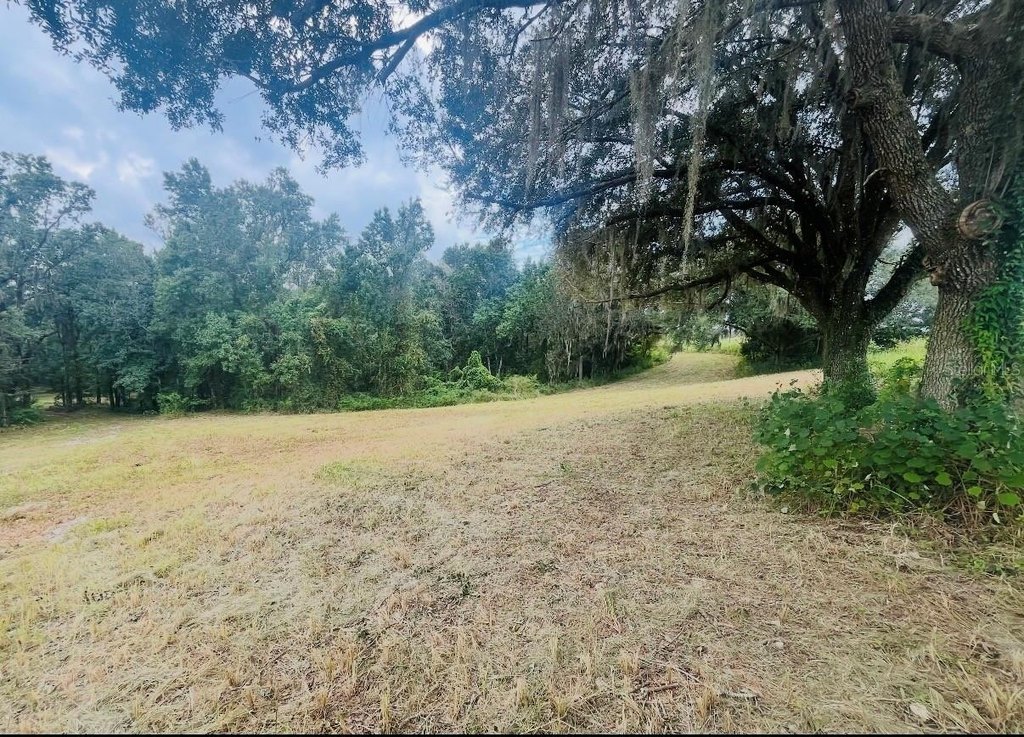 Picture 16