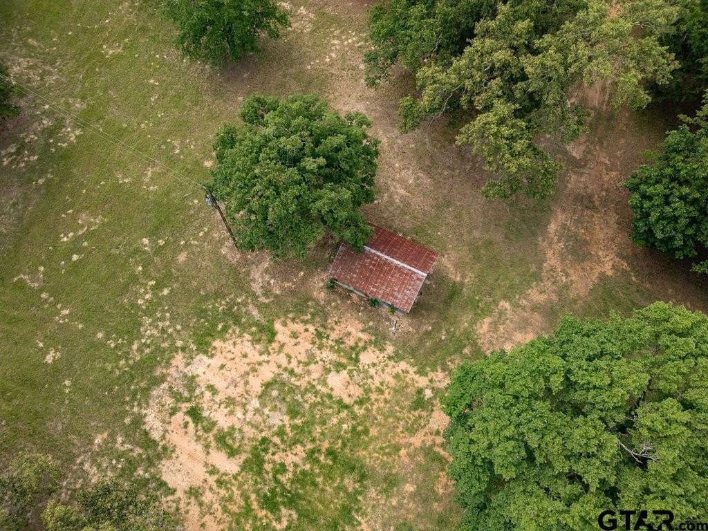 Picture 8