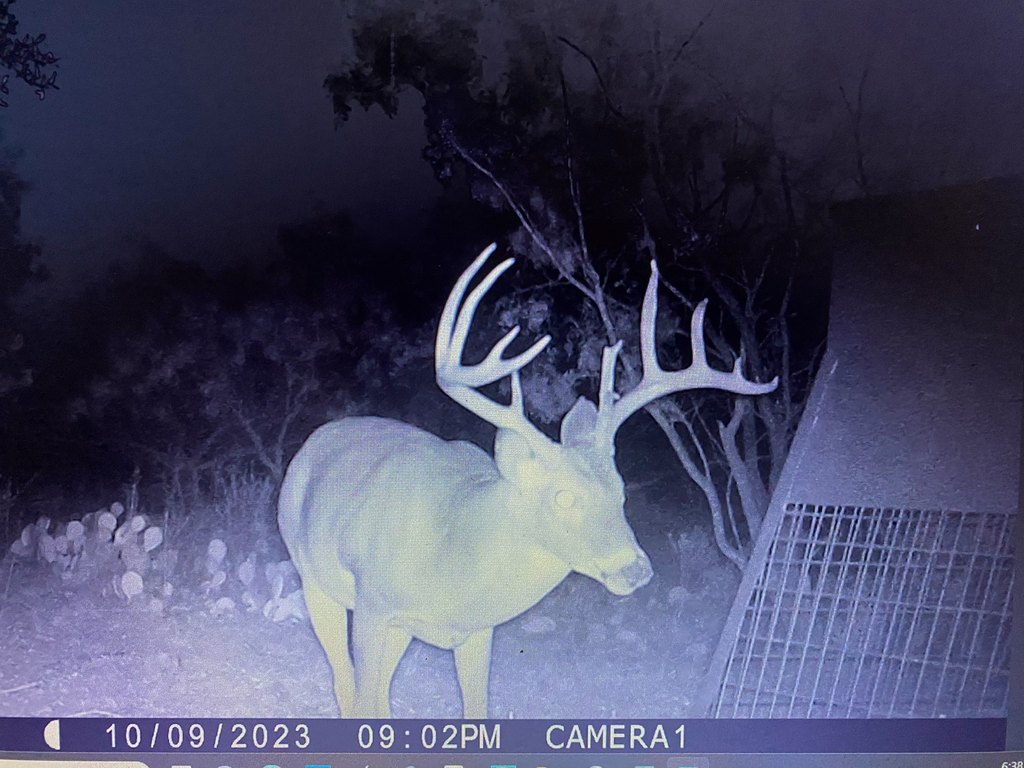 Picture 2