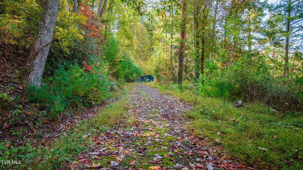 Picture 3