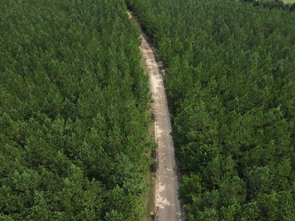 Picture 13