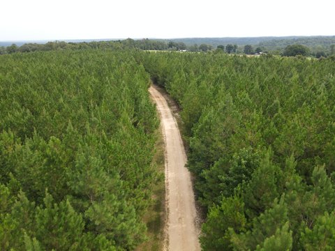 Land, Jackson, AL