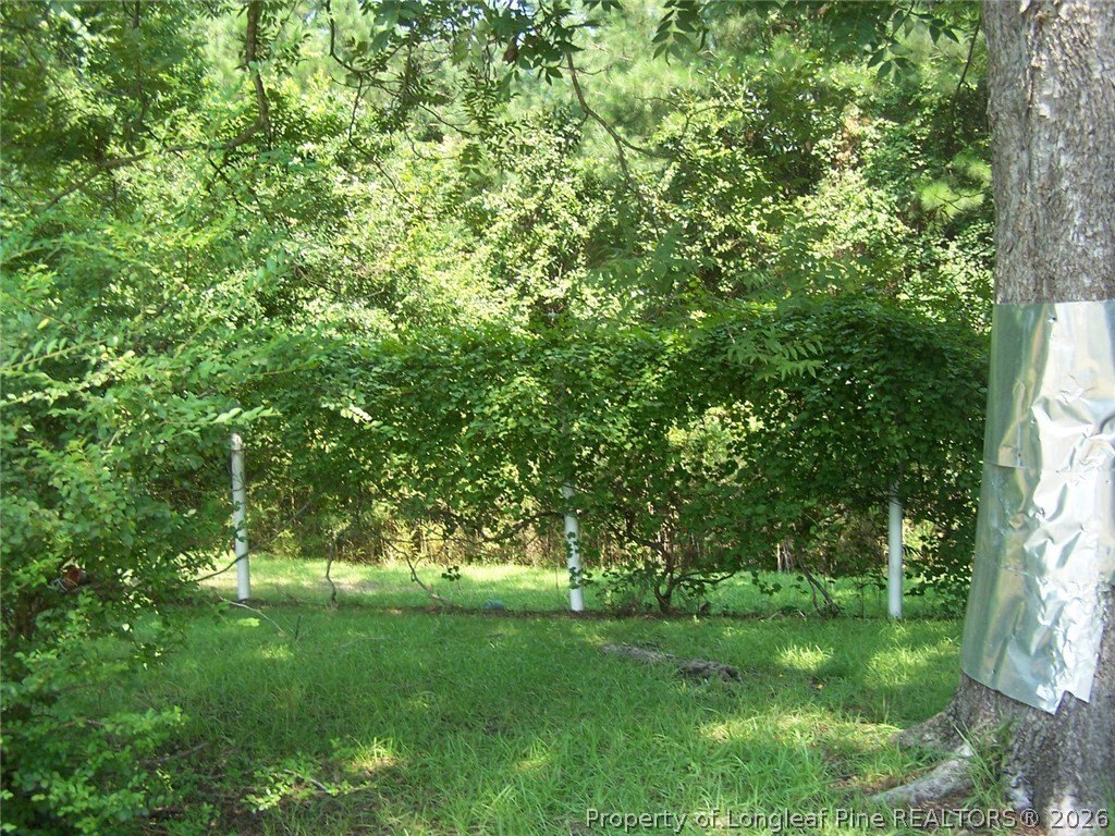 Picture 7