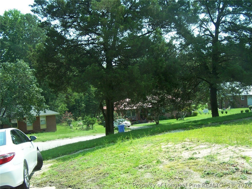 Picture 3
