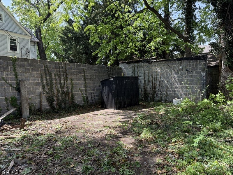 Picture 15