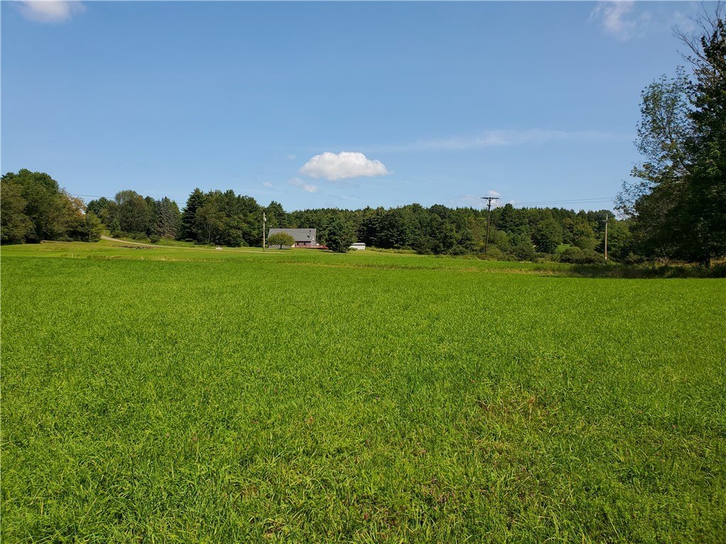 Picture 13