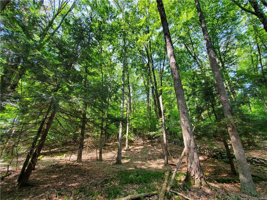 Picture 25