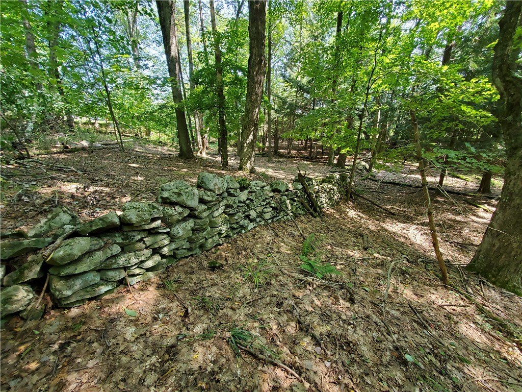 Picture 23