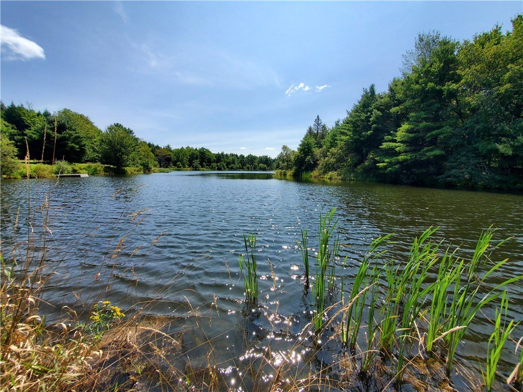 Picture 28