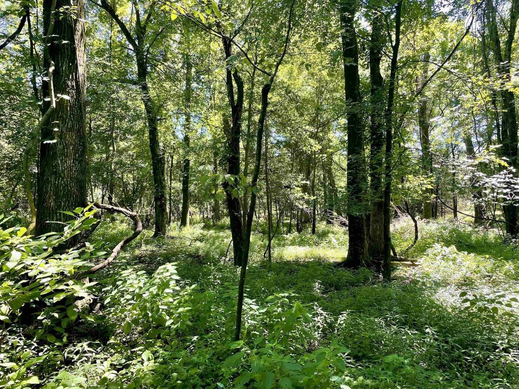 Picture 28