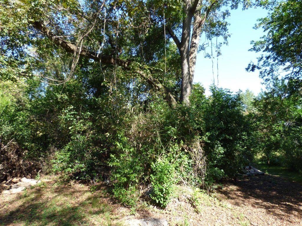 Picture 3
