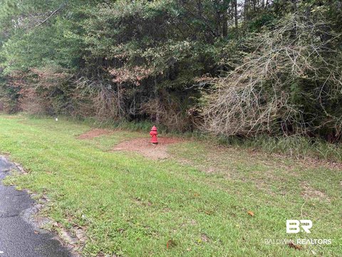 Wooded Residential Development Lot