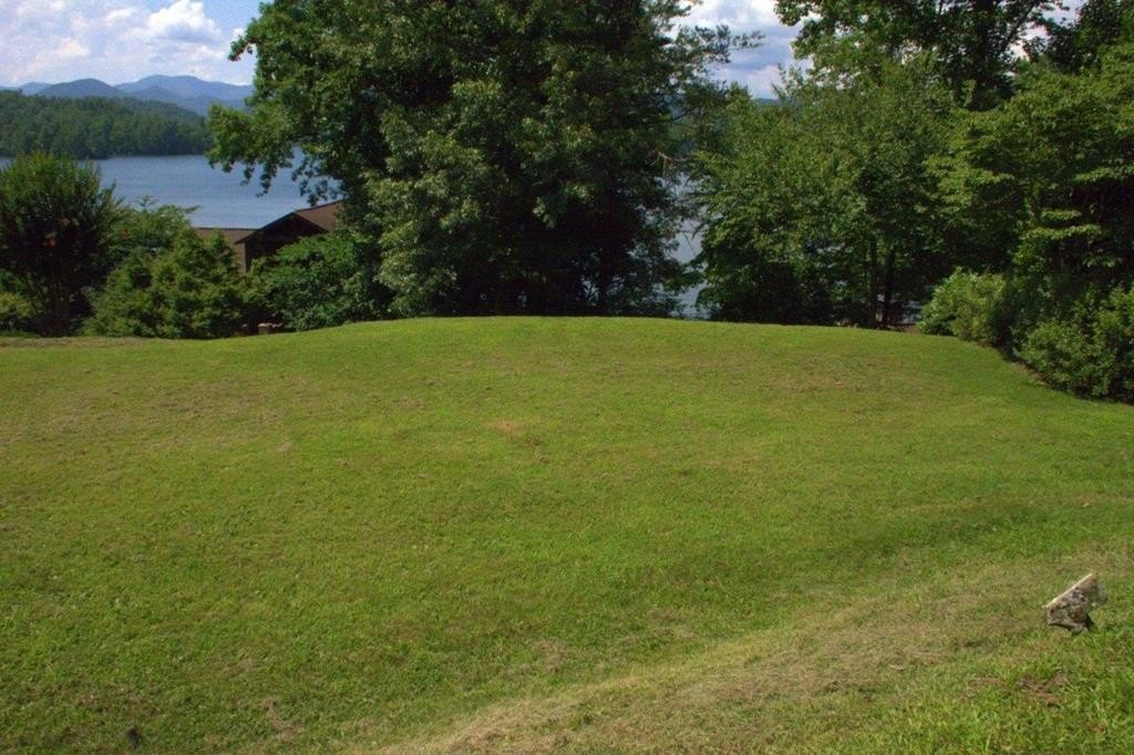 Picture 11