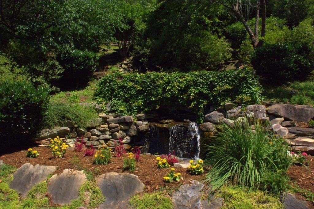 Picture 7