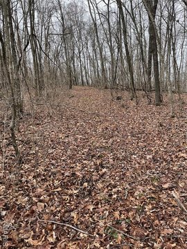 Wooded Land with Highway Frontage