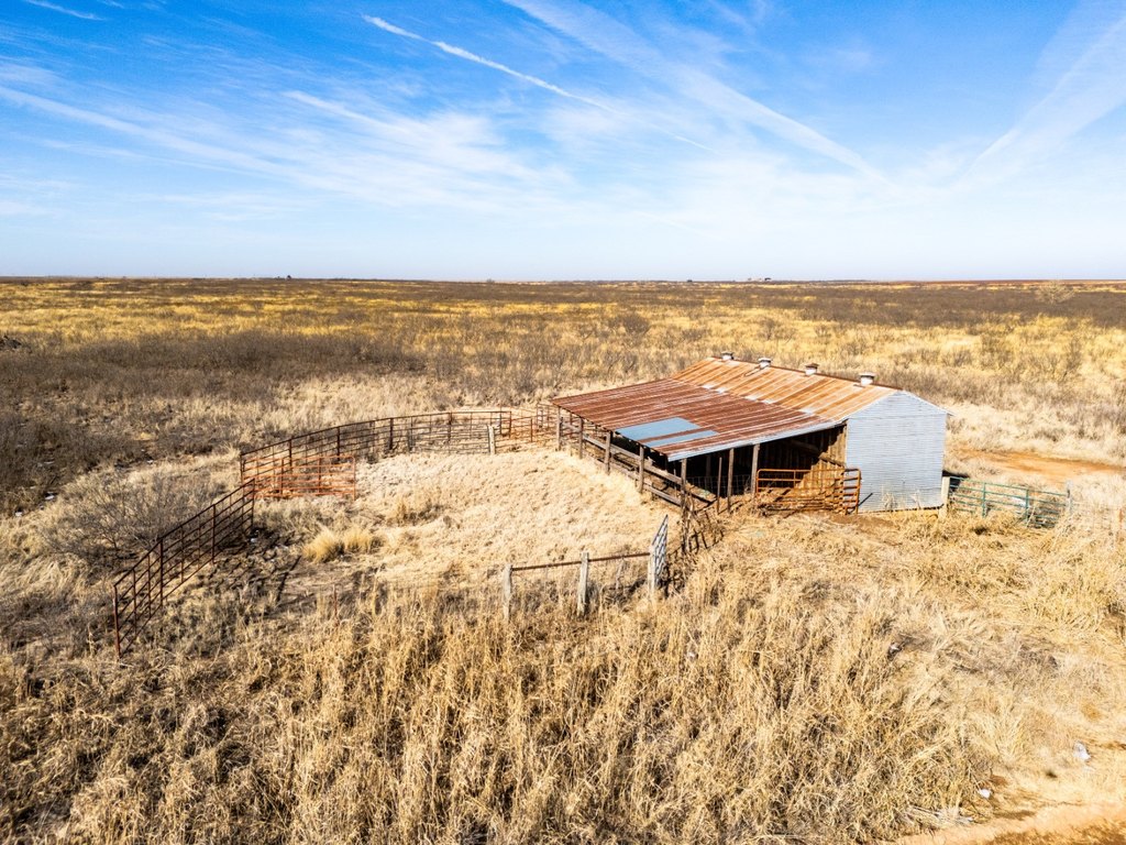Picture 3