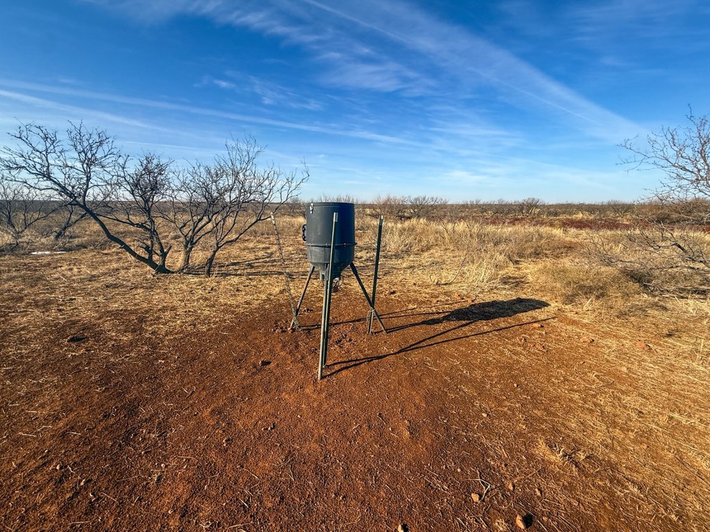 Picture 42