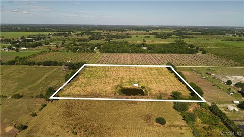Wauchula Agricultural Land Opportunity