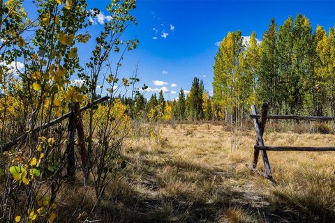 Land, FAIRPLAY, CO