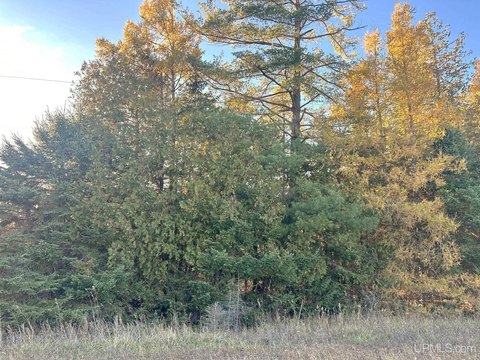 Stephenson, MI Hunting Land
