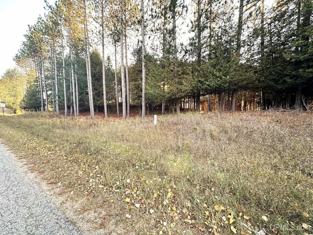 Picture 11