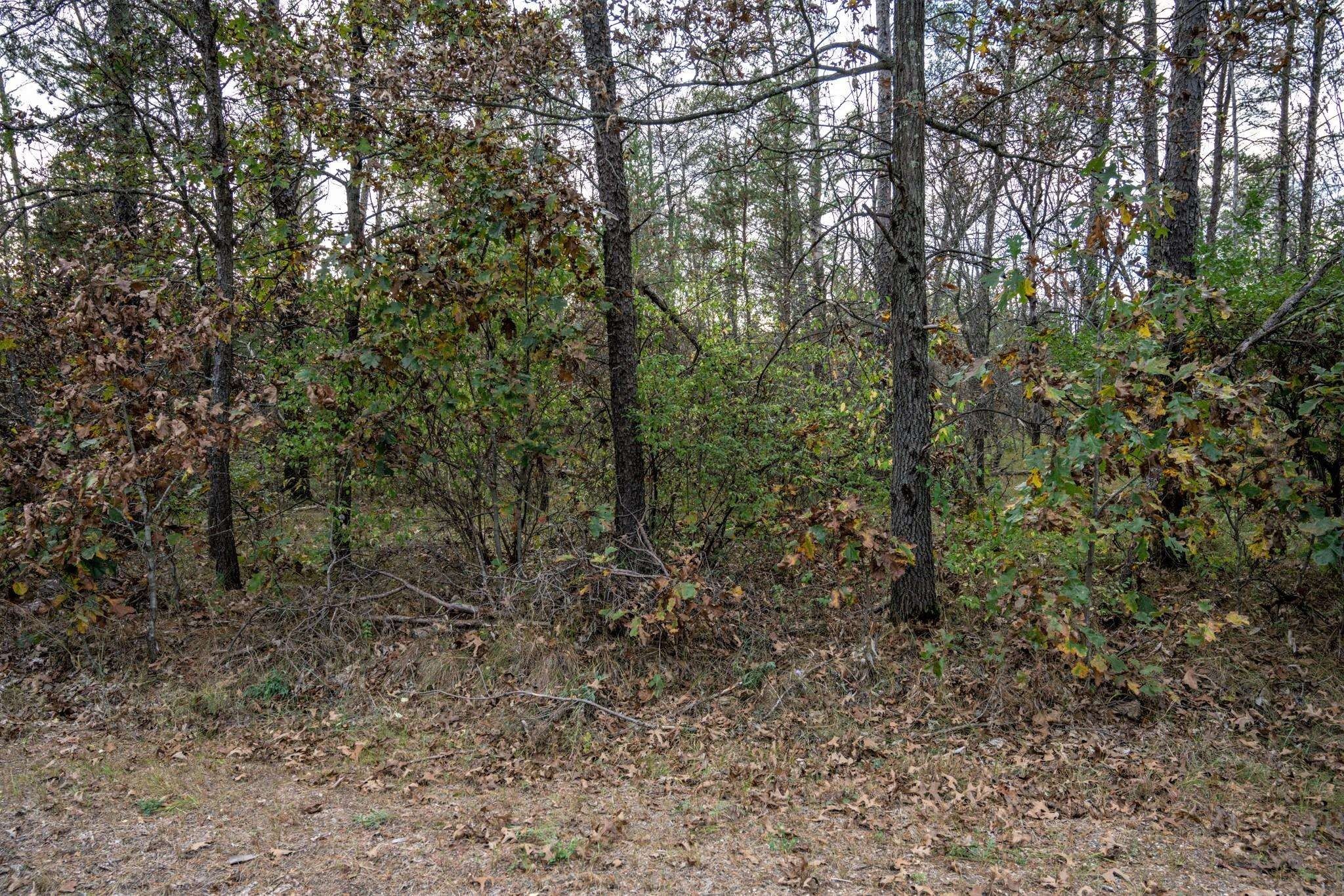 Wooded Lots Near Castle Rock