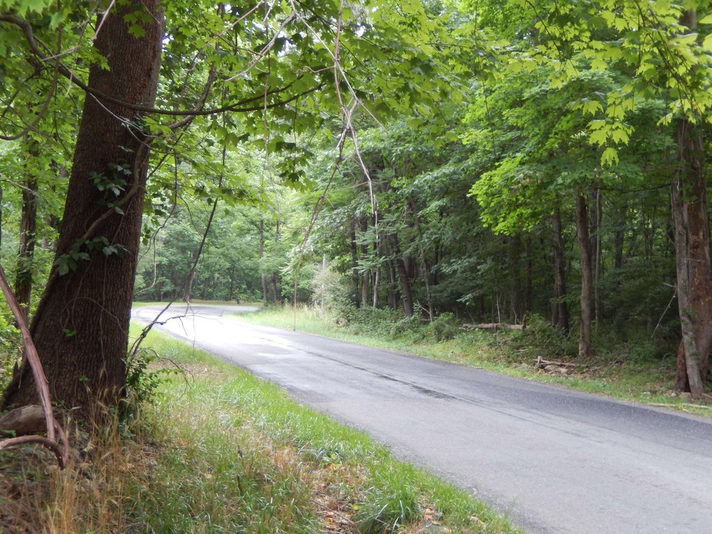 Picture 6