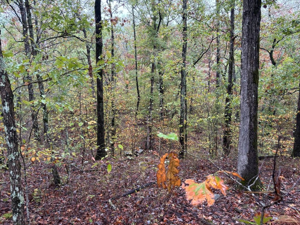 Picture 16