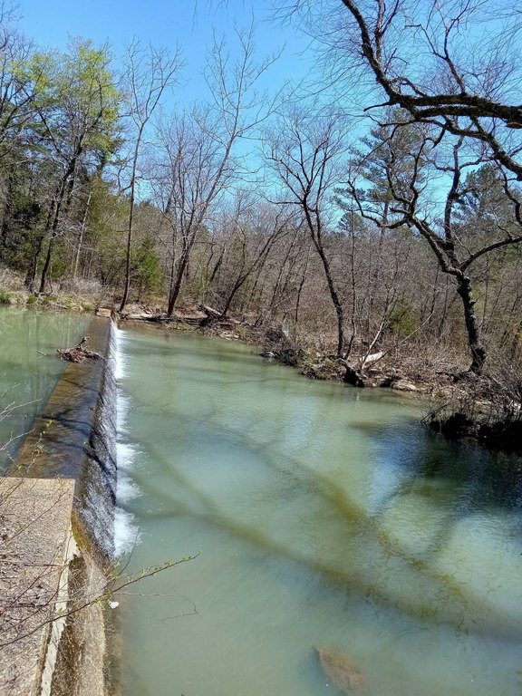 Picture 8