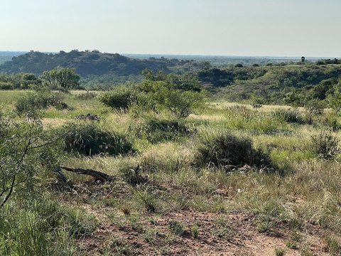Vacant Ranch Land with Brick Home