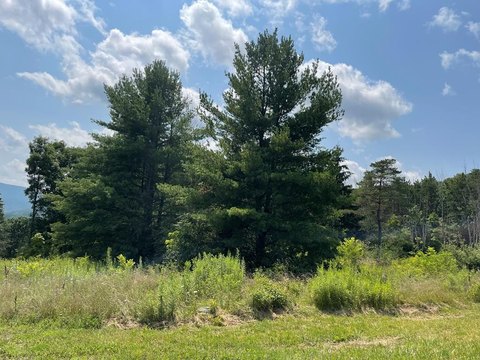 Vacant Lot in Hemlock Hills