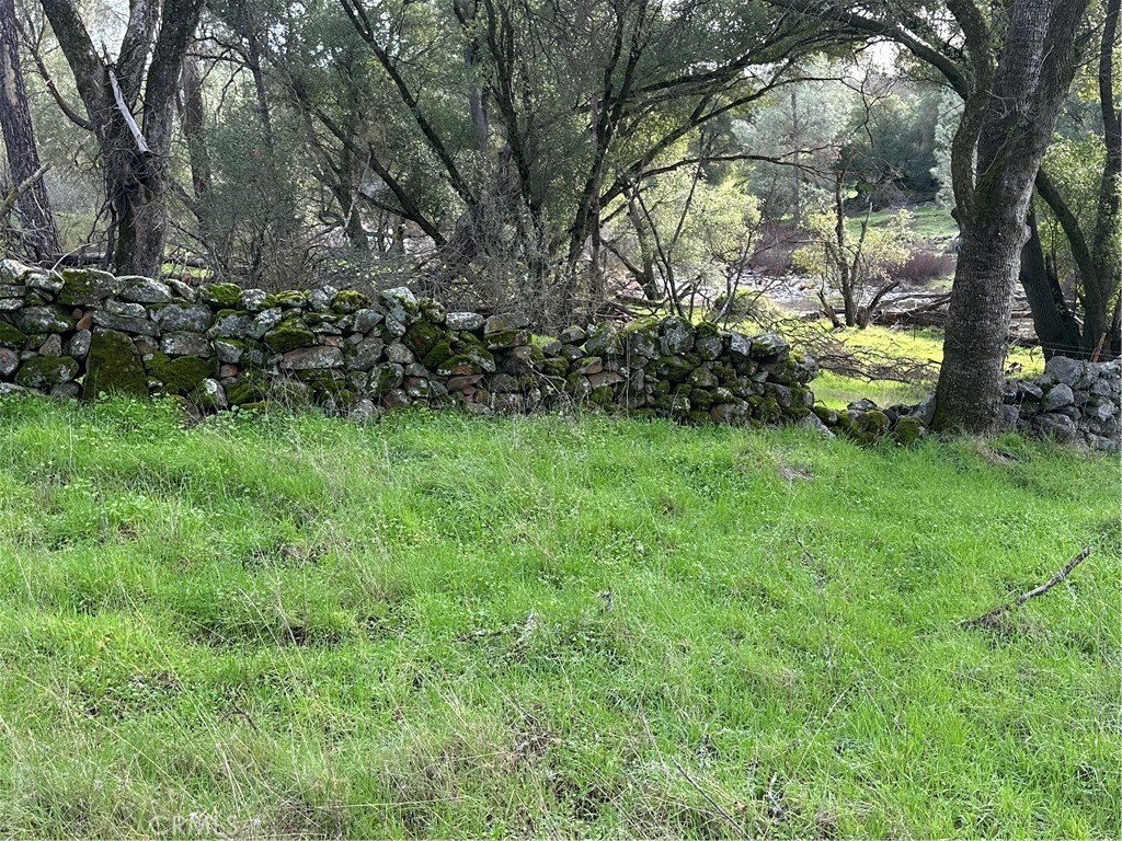 Picture 16