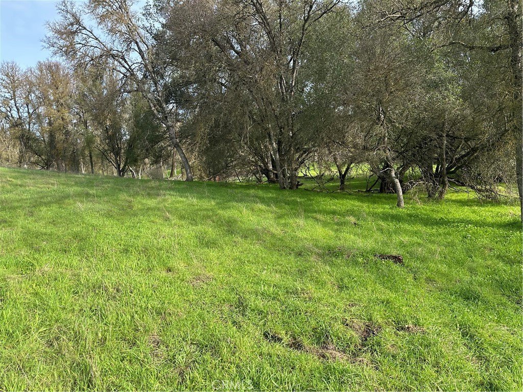 Picture 18