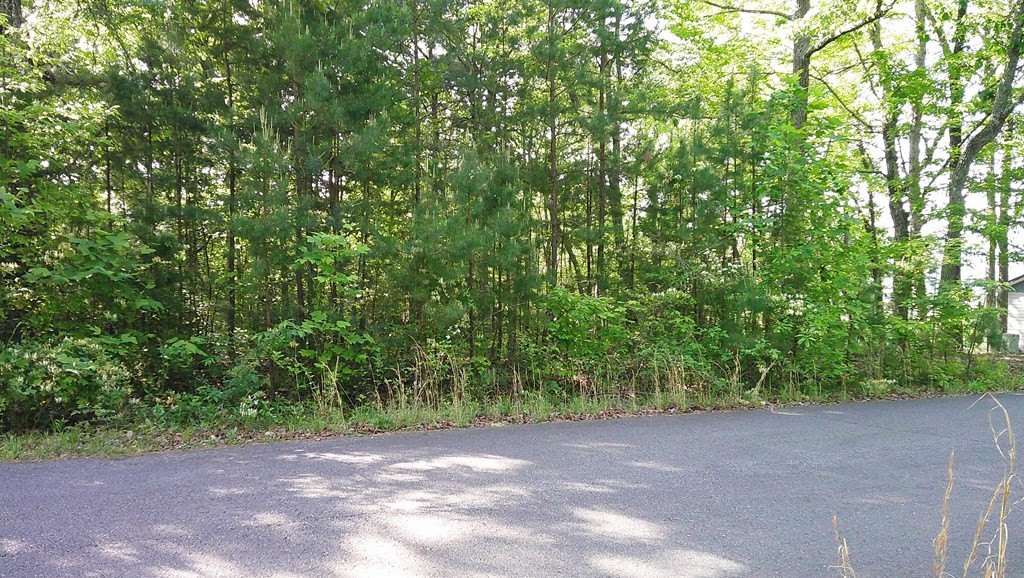 Picture 6
