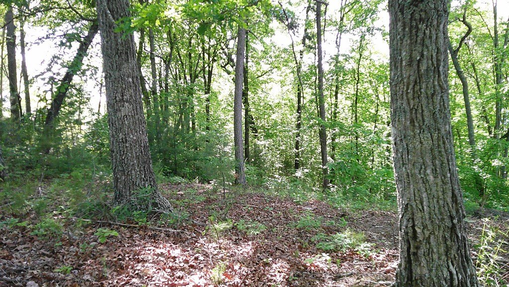 Picture 4