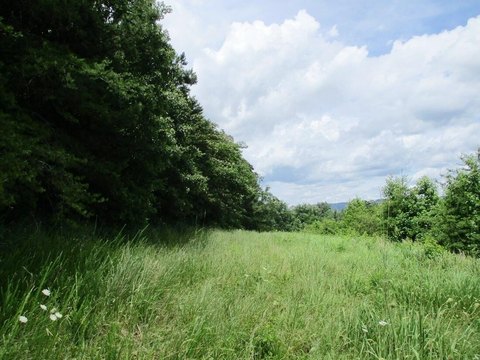 Ooltewah, TN Commercial Land