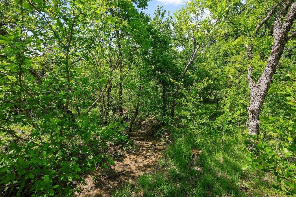 Picture 17