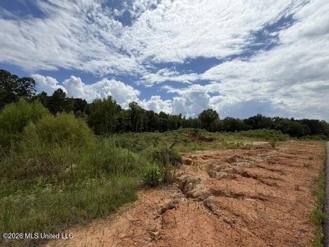 LAND - Byhalia, MS