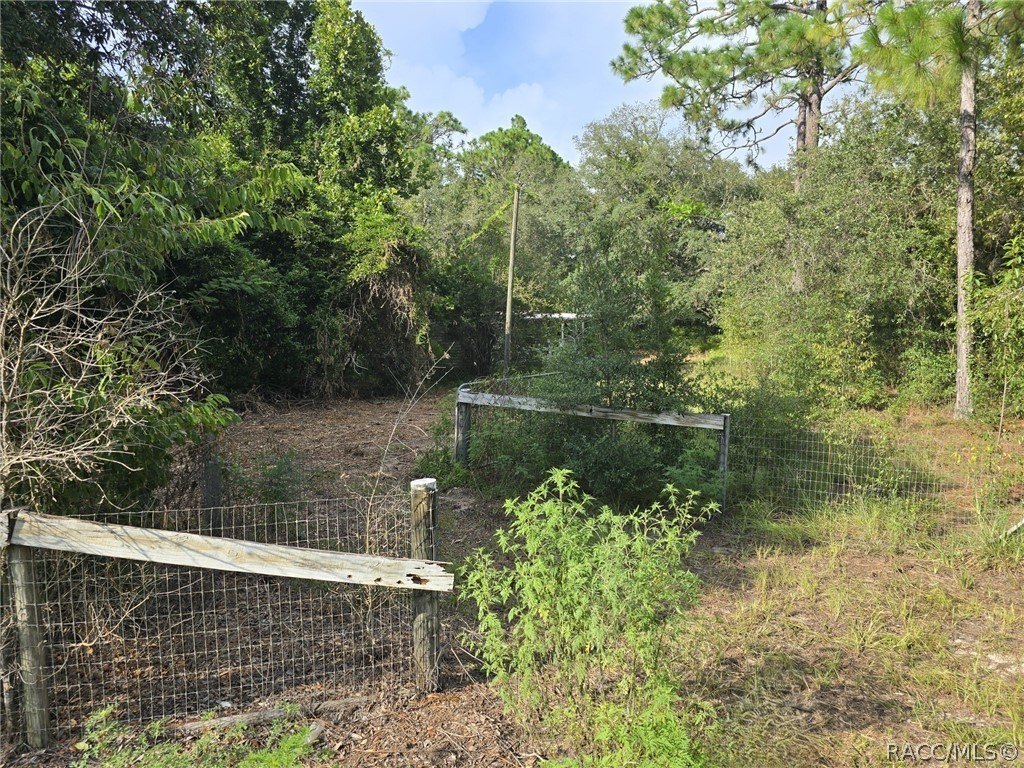 Picture 14
