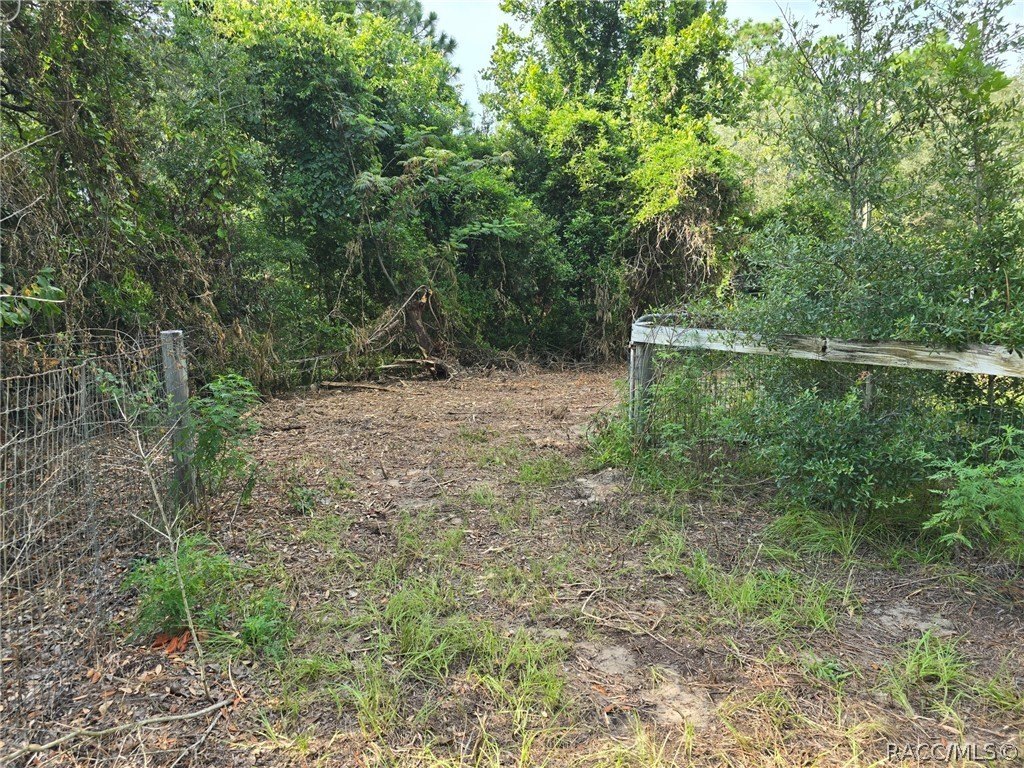 Picture 2