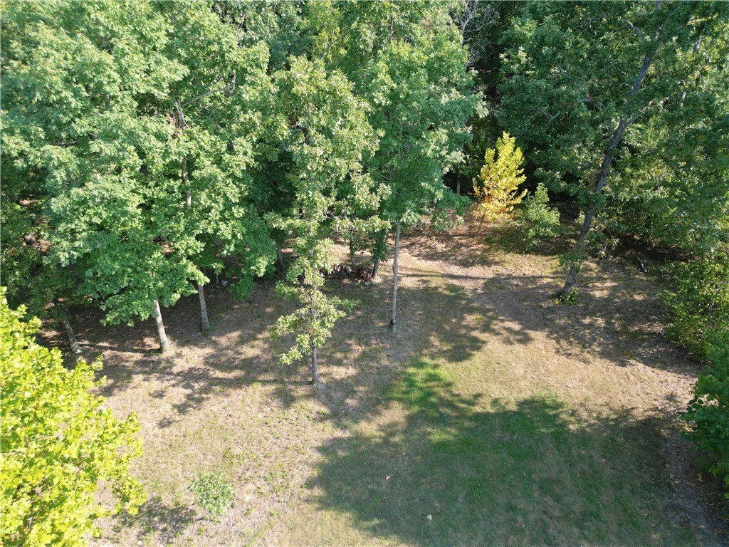Picture 7
