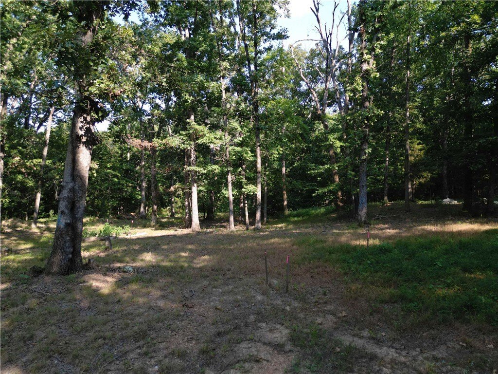 Picture 8