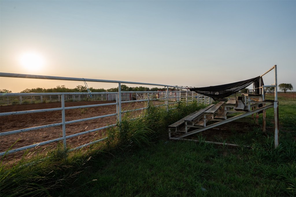 Picture 16