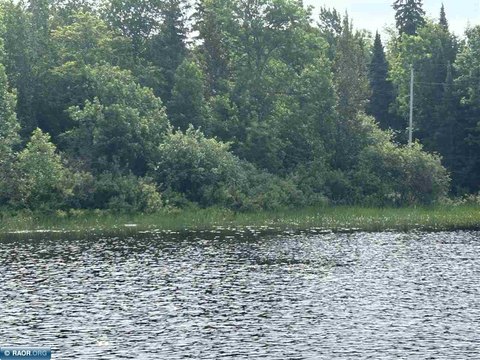 Undeveloped Lot Near Lake Vermilion